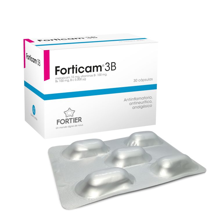 Forticam® 3B