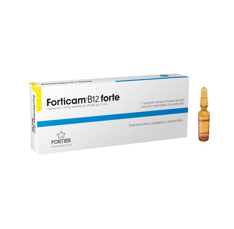 Forticam® B12 Forte